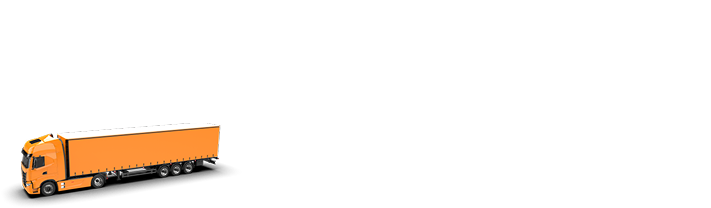 elemento decorativo 1